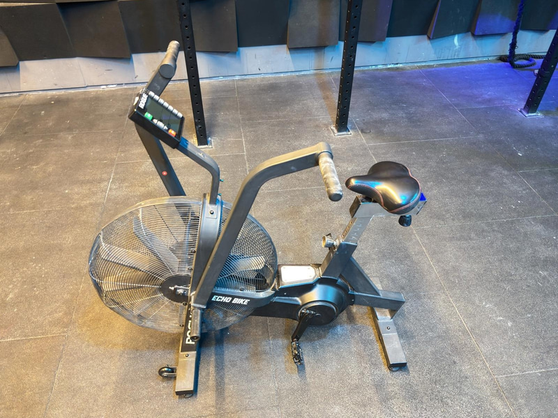 Echo Bike, Rogue
