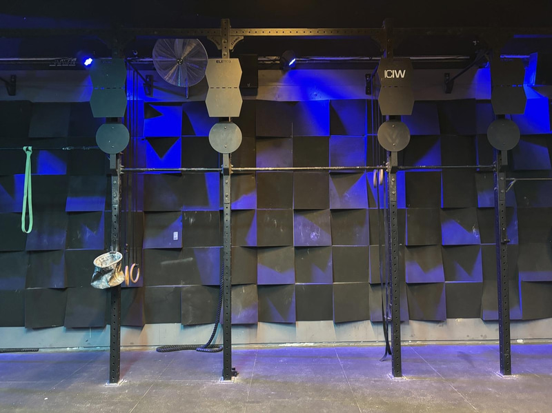 Eleiko multifunctional rig