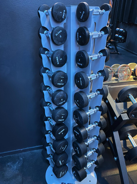 Complete dumbbell rack with Eleiko dumbbells, 1–10 kg