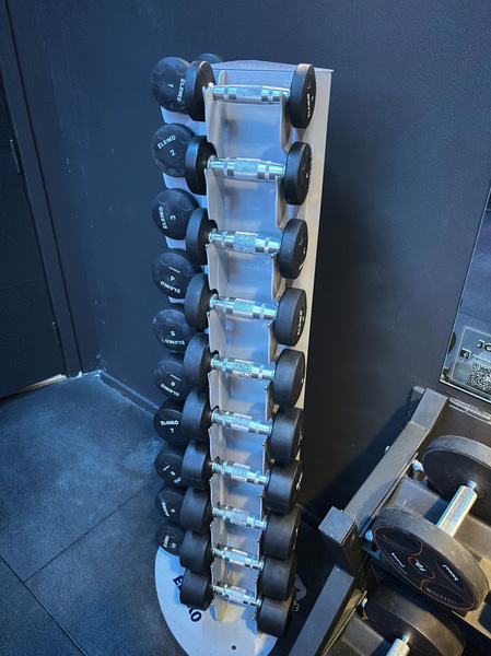 Complete dumbbell rack with Eleiko dumbbells, 1–10 kg