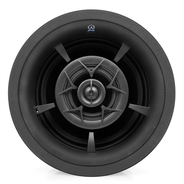Origin Acoustics D85 Speaker