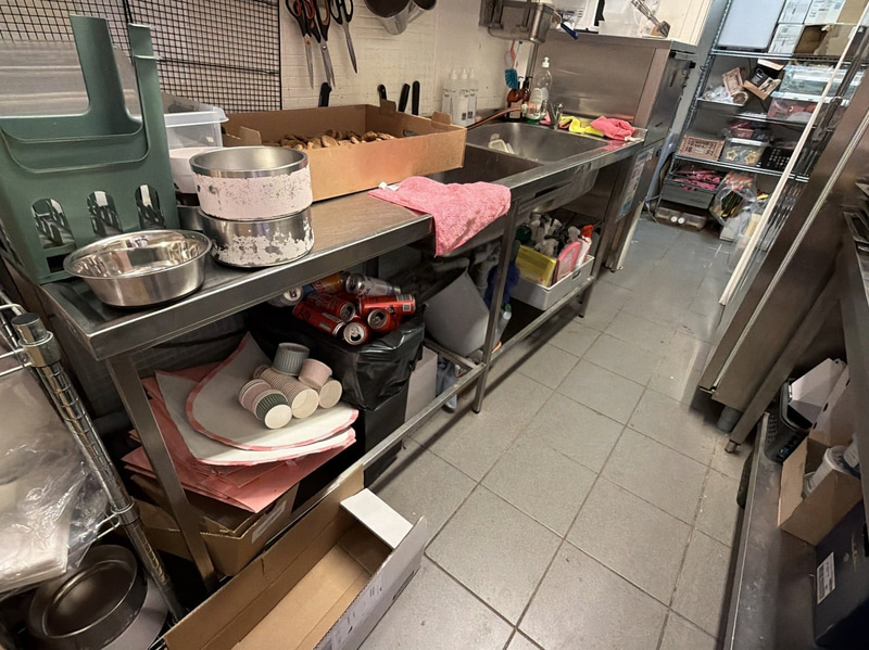 Stainless steel sink unit with drainboard