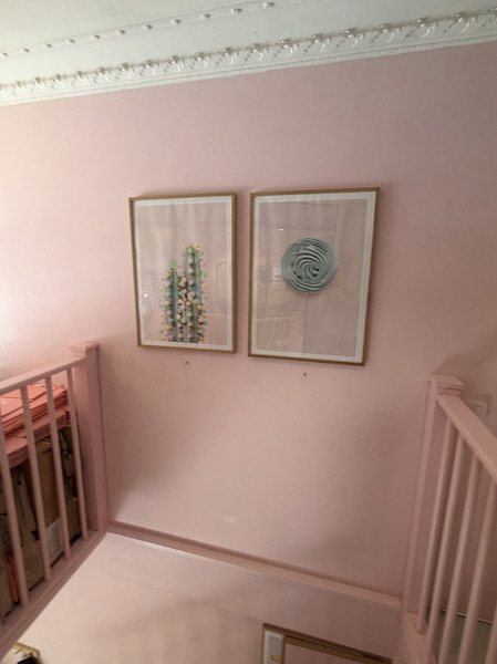 Two framed pictures, cactus and lollipop