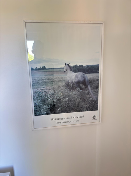 Bild 42