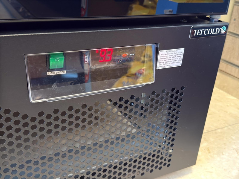 Display Cooler Tefcold Atom Maxi C3DBB | 3 doors