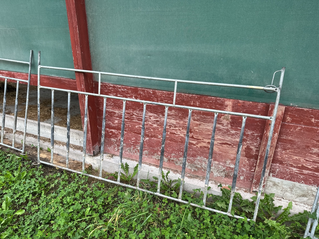 Bild 12