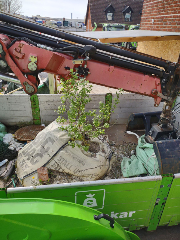 Bild 15
