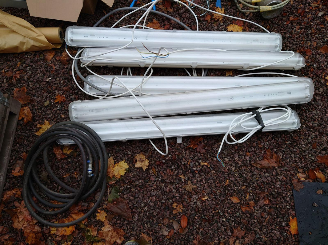 Bild 12