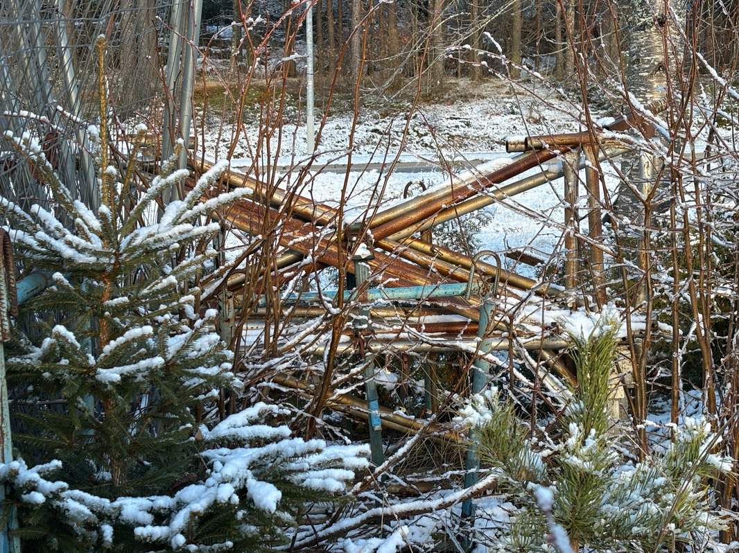 Bild 19
