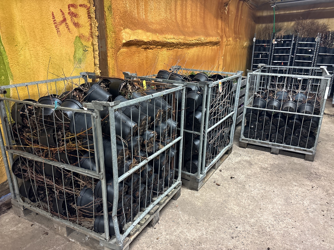 Bild 14