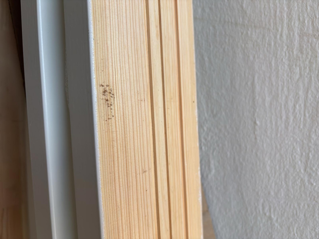 2 Door Frames
