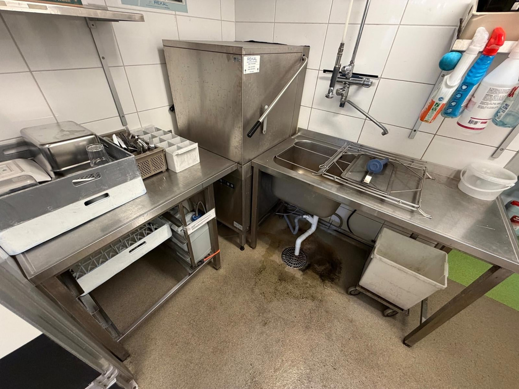 Dishwasher, Hobart ecomax 602-10, with infeed and outfeed tables