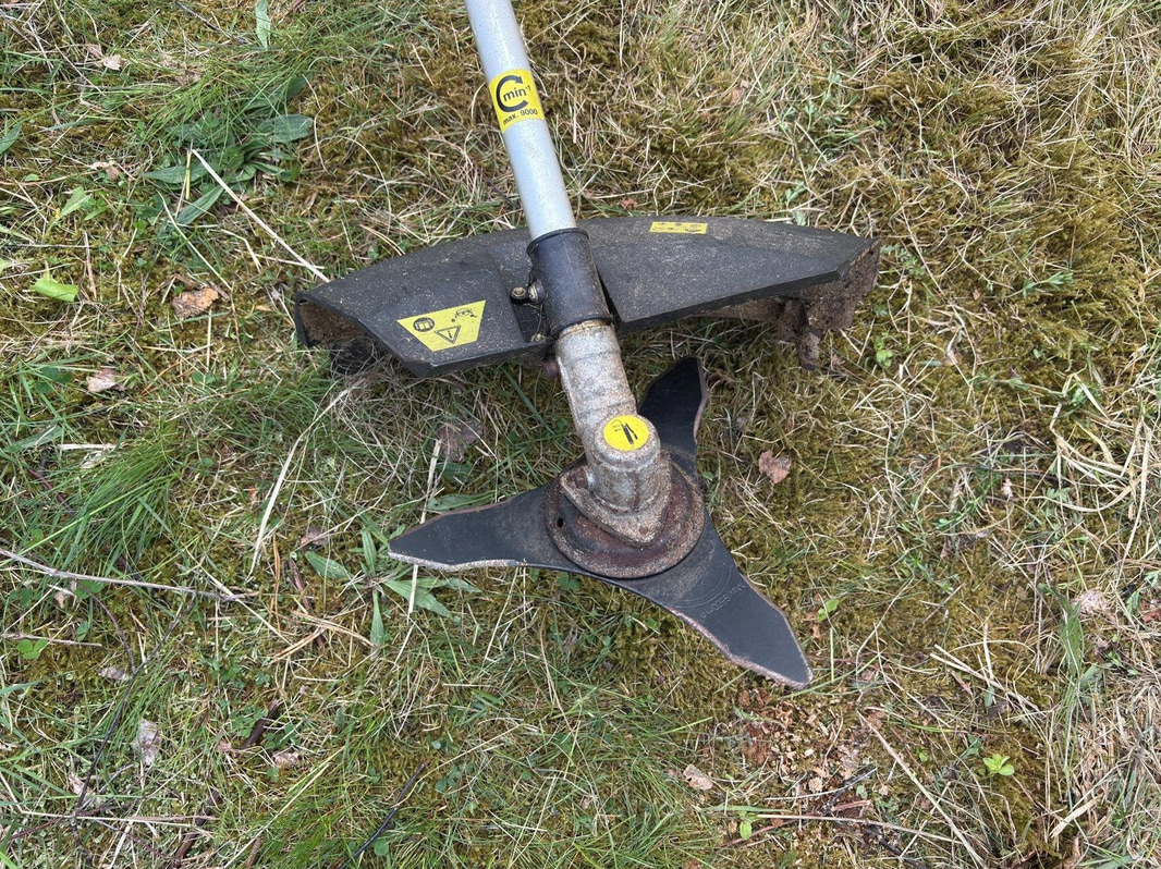 Bild 12
