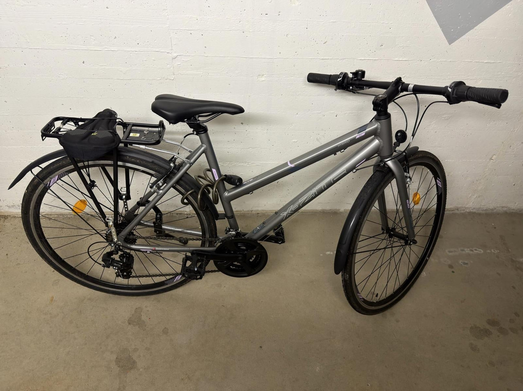Cykel X-Zite City Series X 700C
