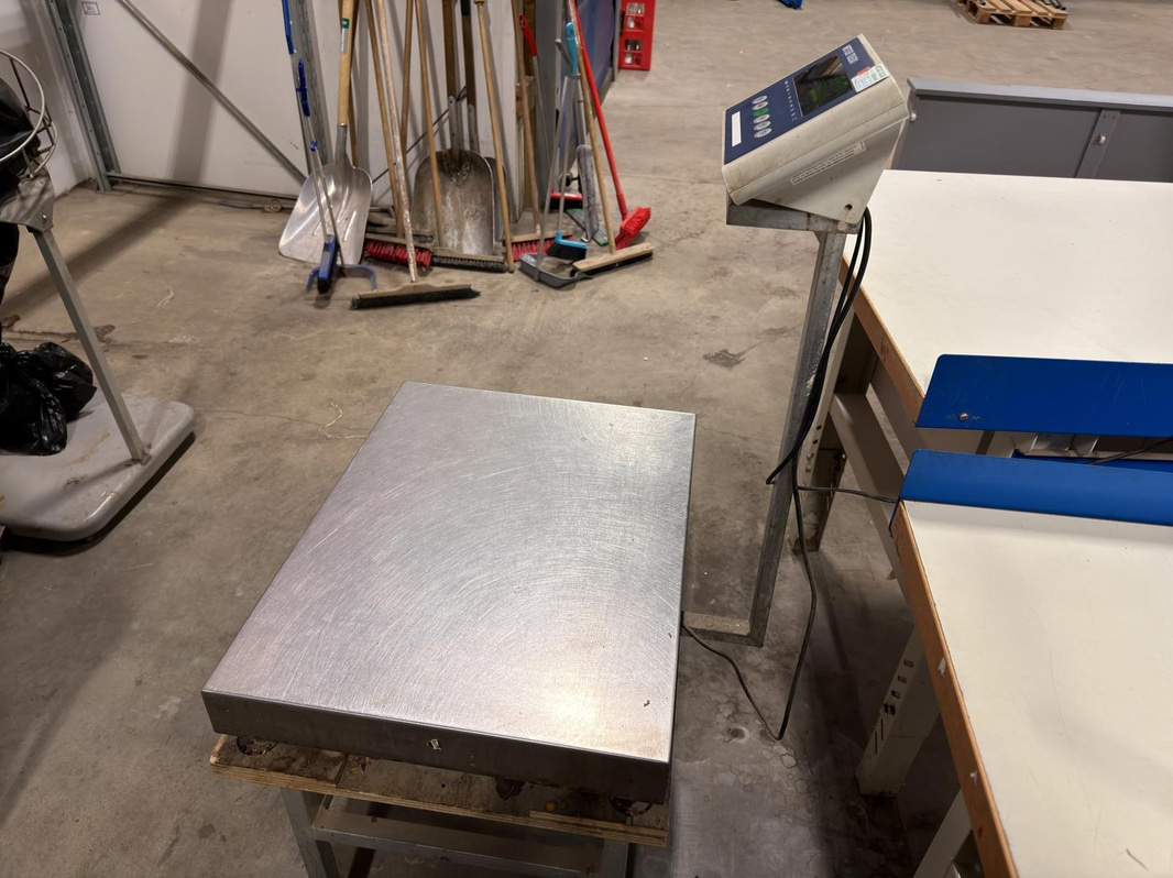 Mettler Toledo BBA221 scale, stainless steel platform