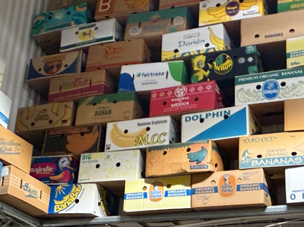 Collection of banana boxes (large lot)