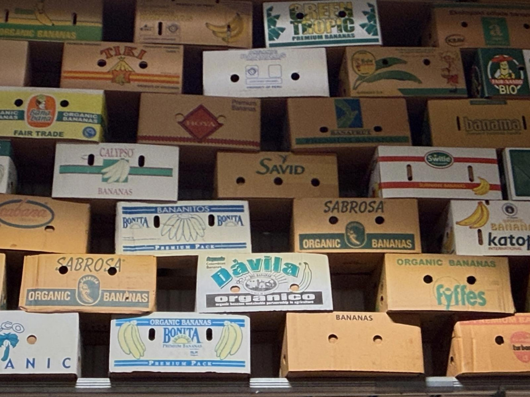 Collection of banana boxes (large lot)