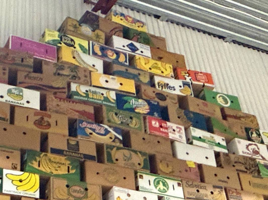 Collection of banana boxes (large lot)