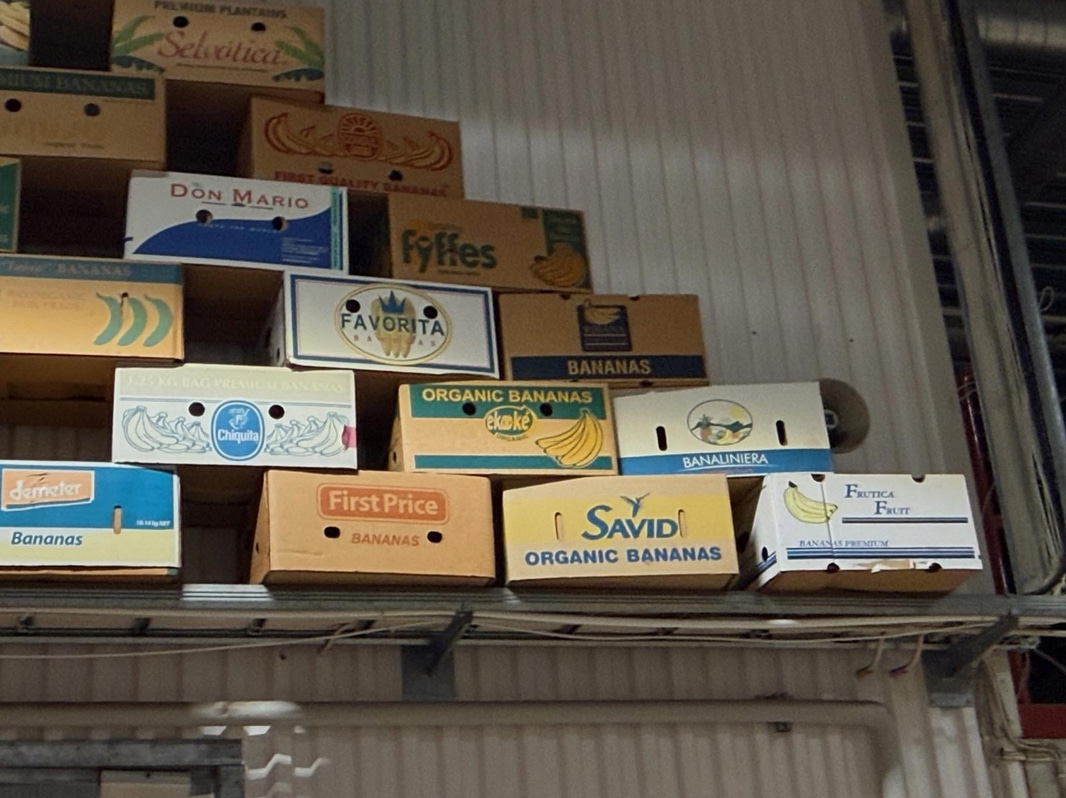 Collection of banana boxes (large lot)