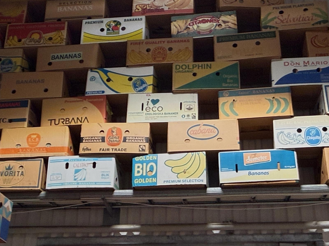Collection of banana boxes (large lot)