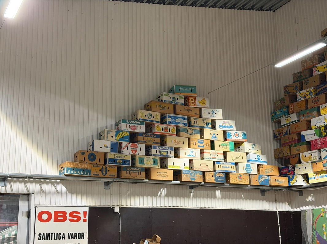 Collection of banana boxes (large lot)
