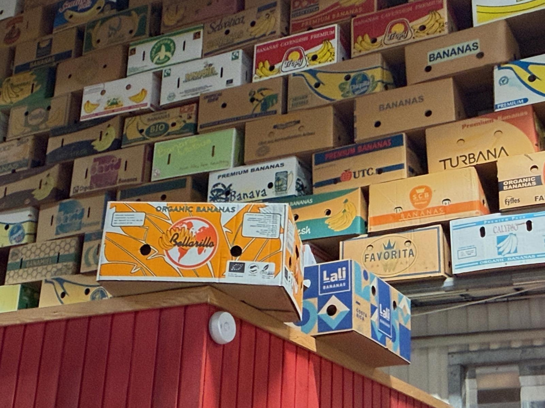 Collection of banana boxes (large lot)