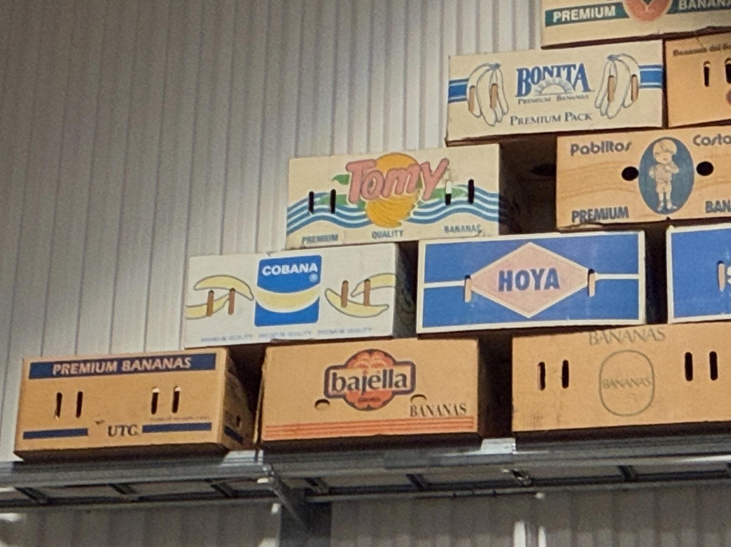 Collection of banana boxes (large lot)