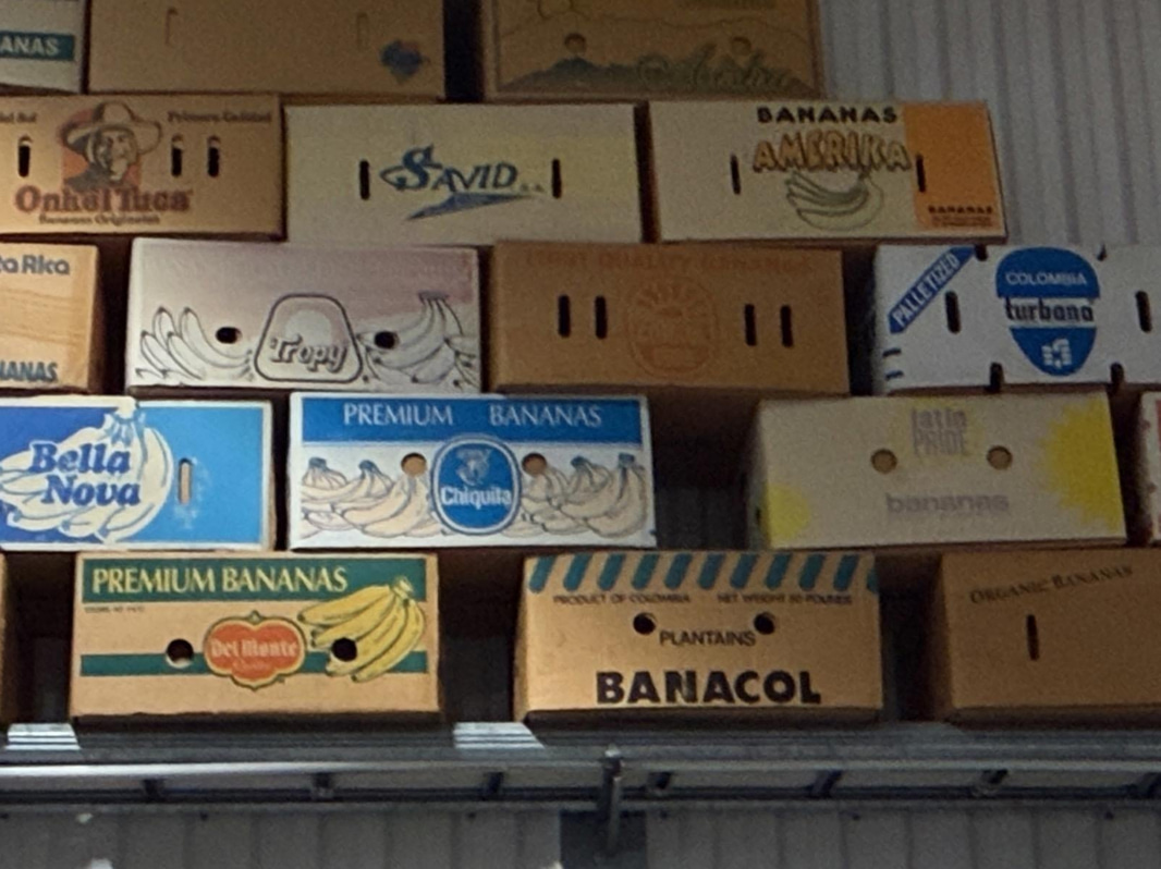 Collection of banana boxes (large lot)