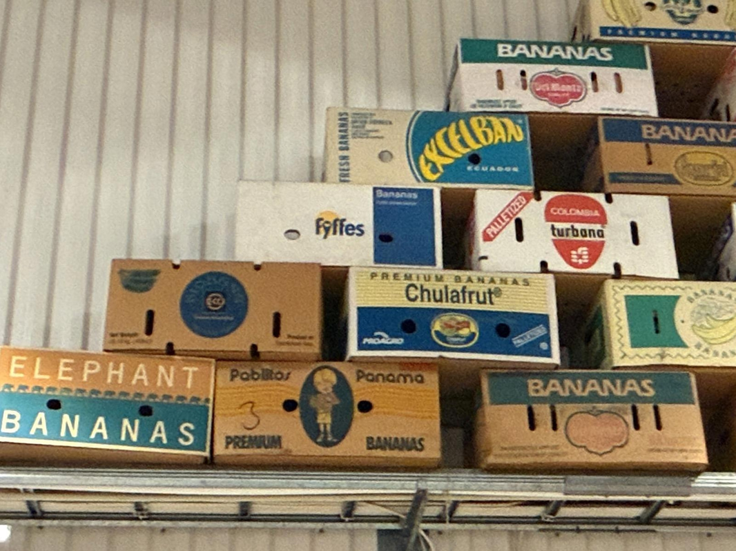 Collection of banana boxes (large lot)