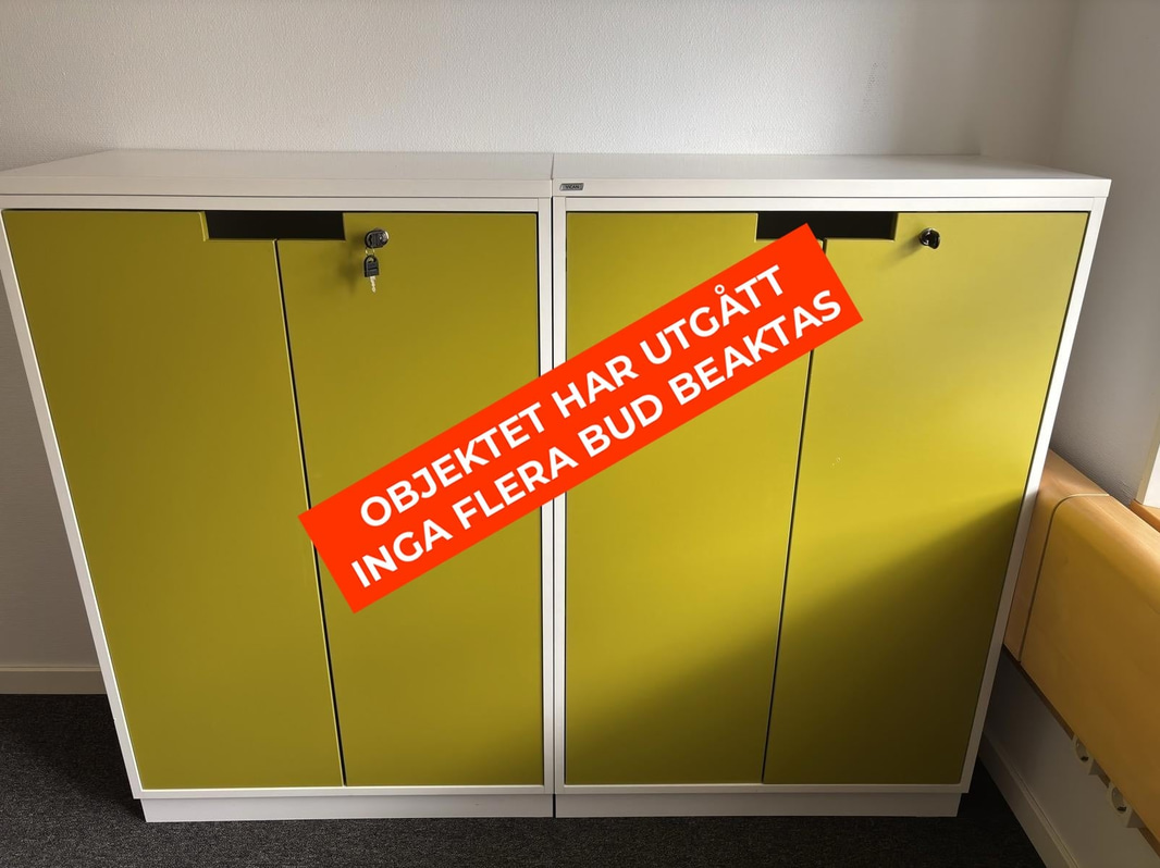 2 Vican document cabinets