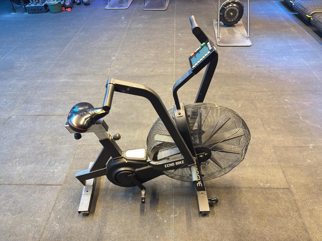 Rogue Echo Bike