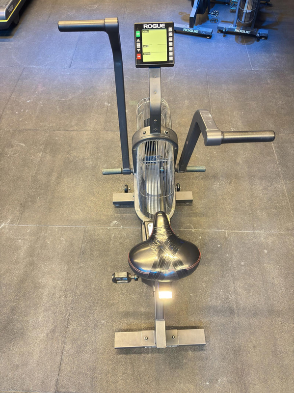 Rogue Echo Bike