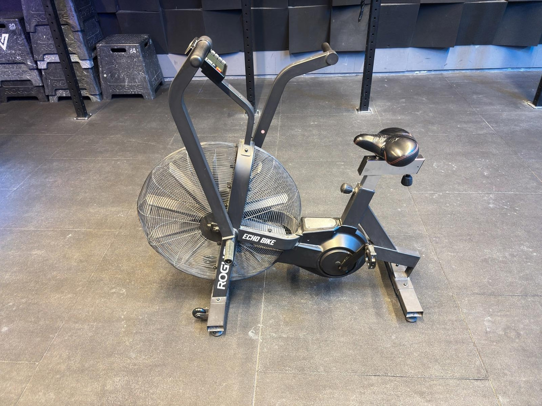 Rogue Echo Bike