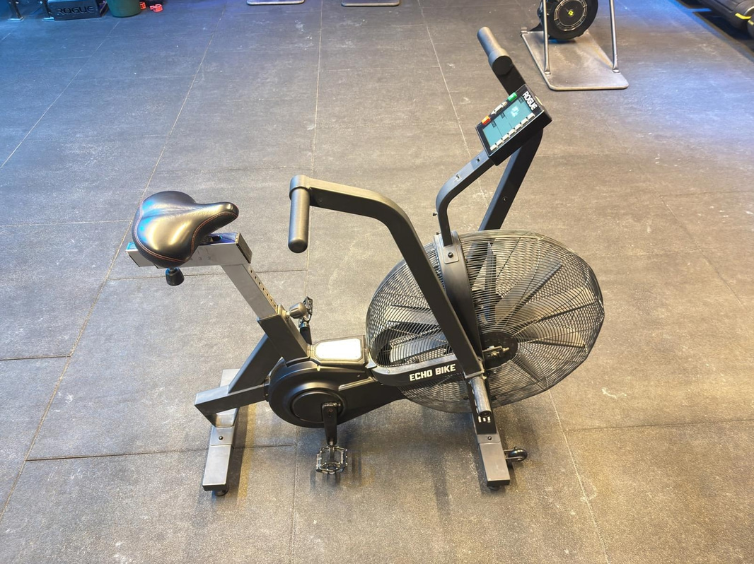 Rogue Echo Bike