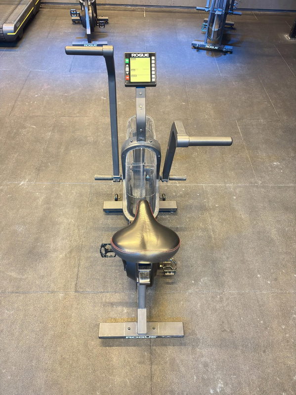 Rogue Echo Bike