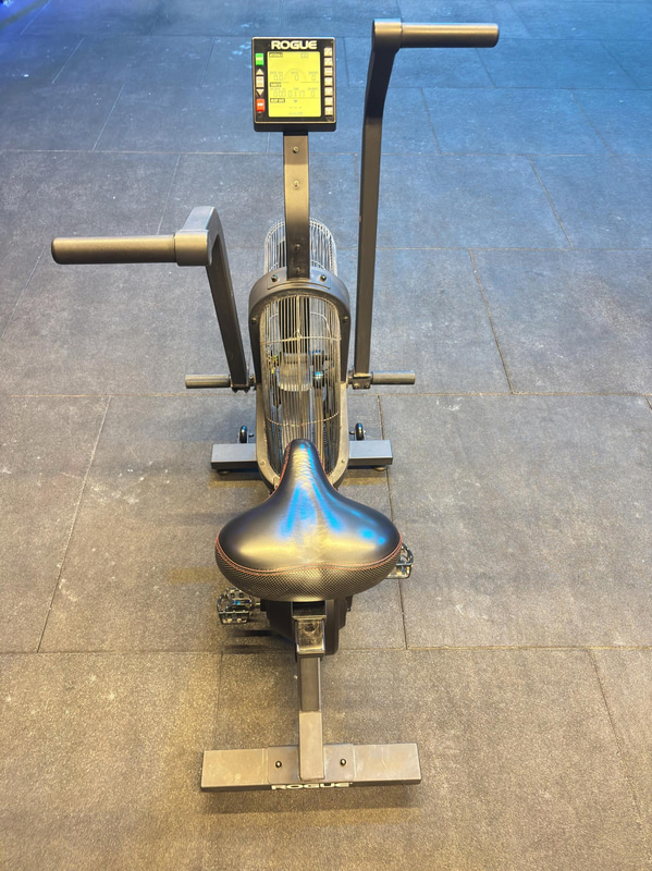 Echo Bike, Rogue
