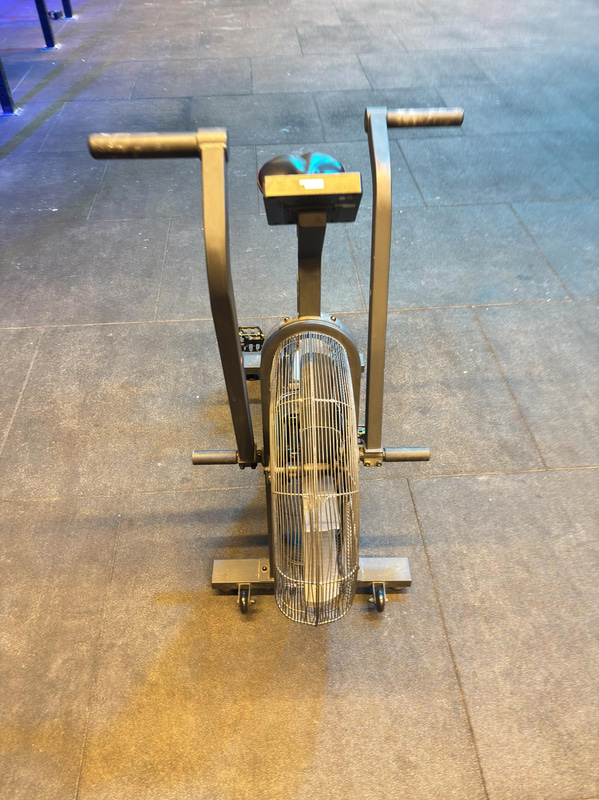 Echo Bike, Rogue