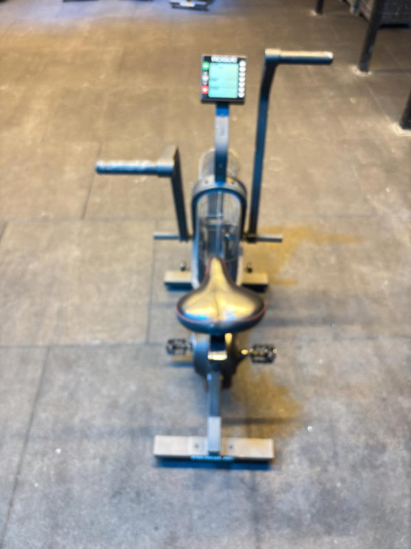 Echo Bike, Rogue