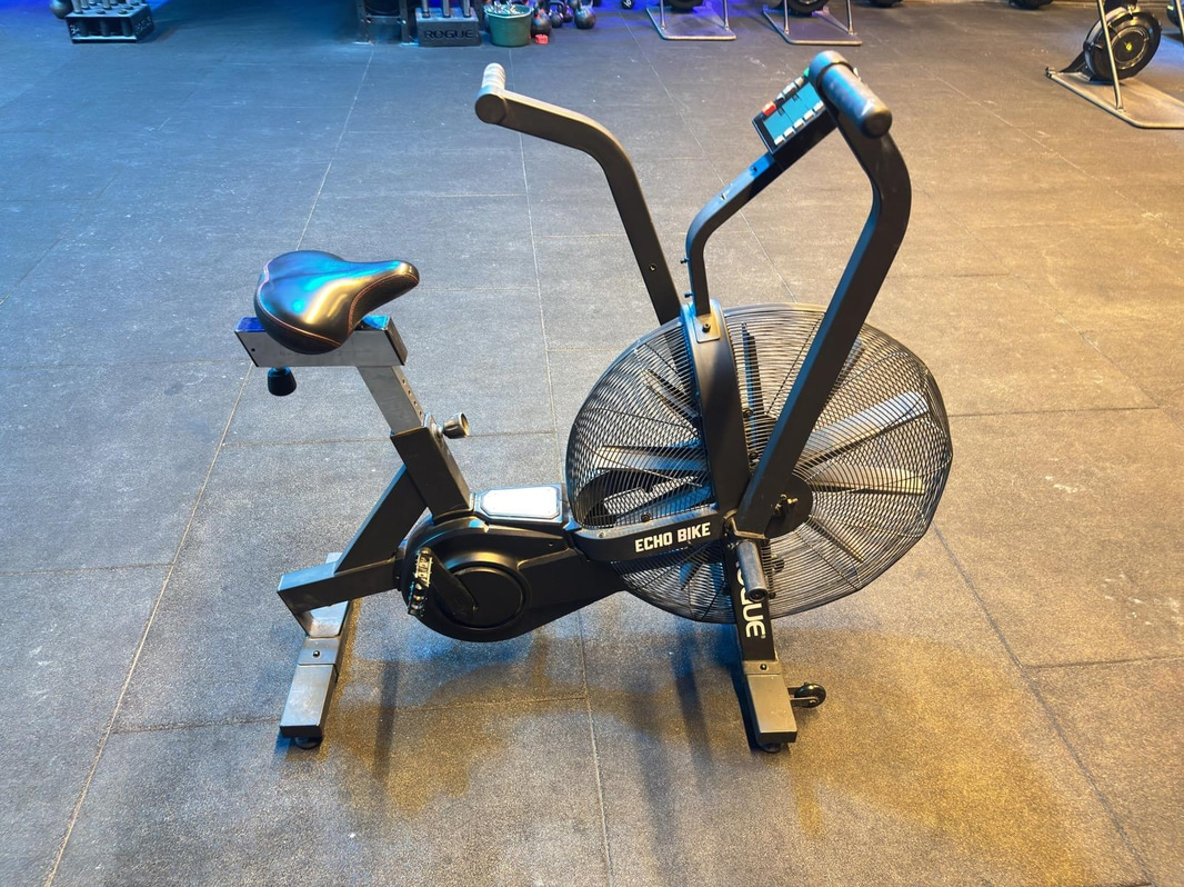 Echo Bike, Rogue