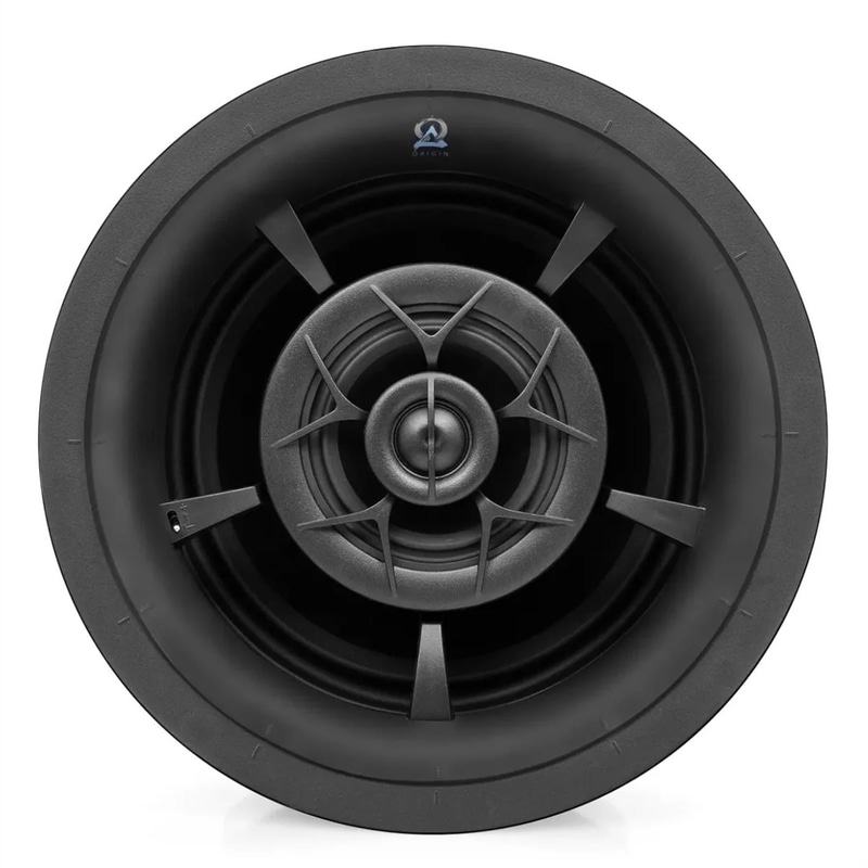 Origin Acoustics D85 Speaker