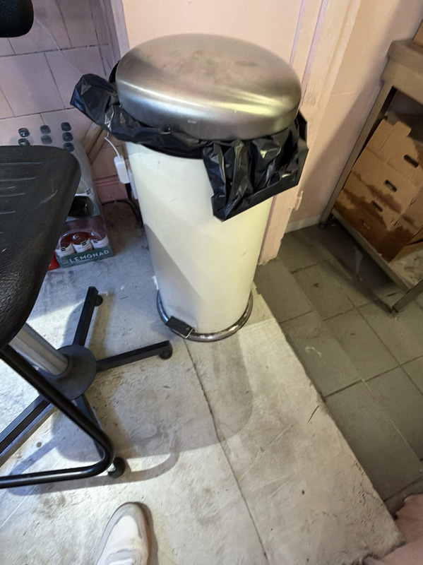 Pedal-operated waste bin