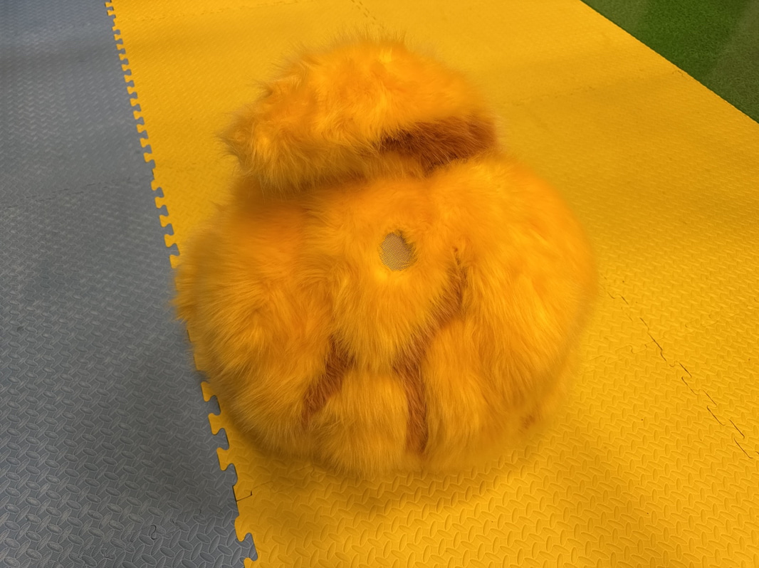 Bild 6