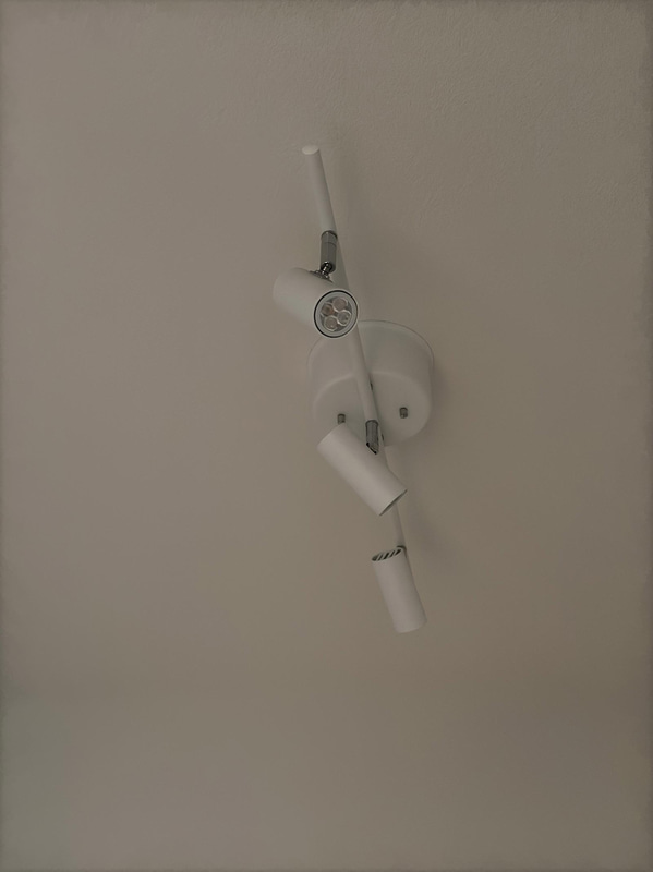 Image 19