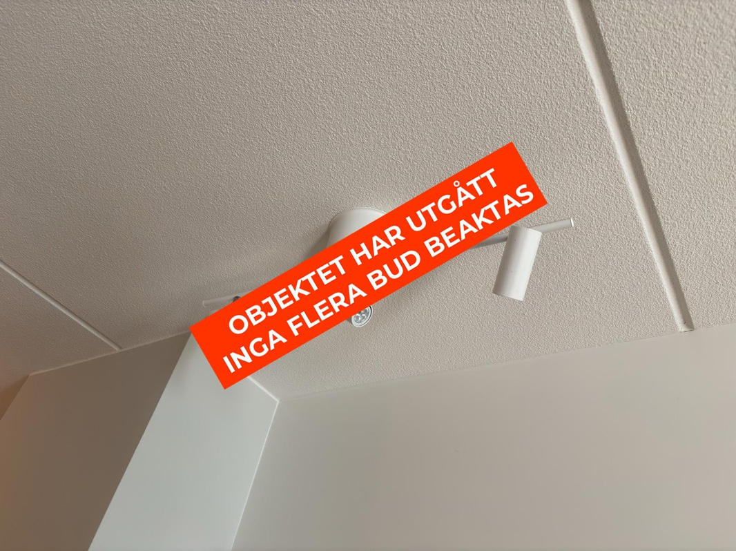 Inventarier till fullt möblerad enrummare - se alla bilder för komplett innehåll