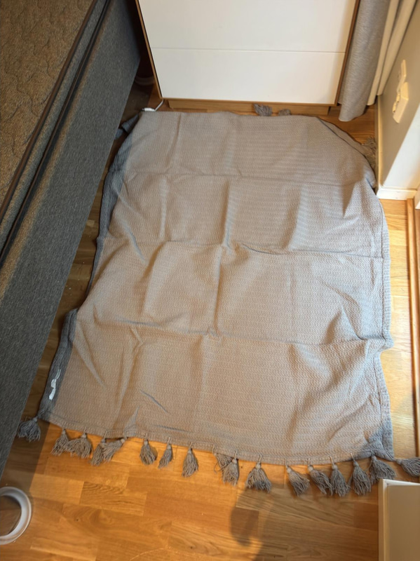 Bild 7