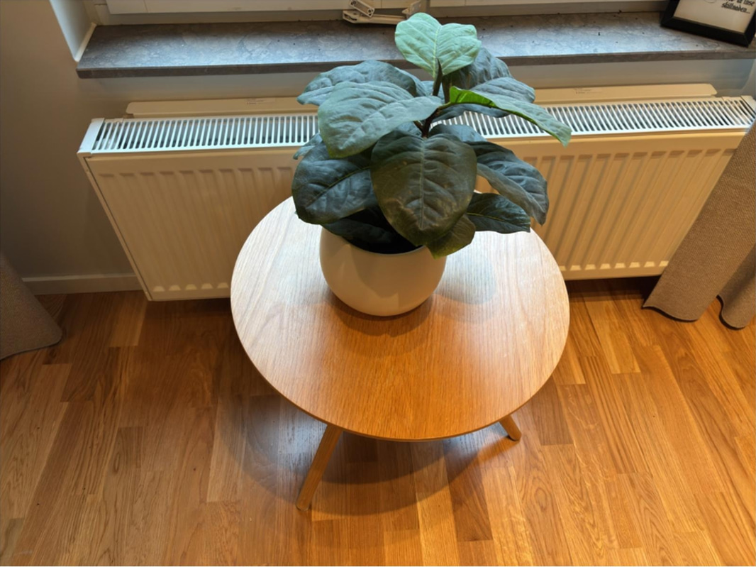 Bild 17