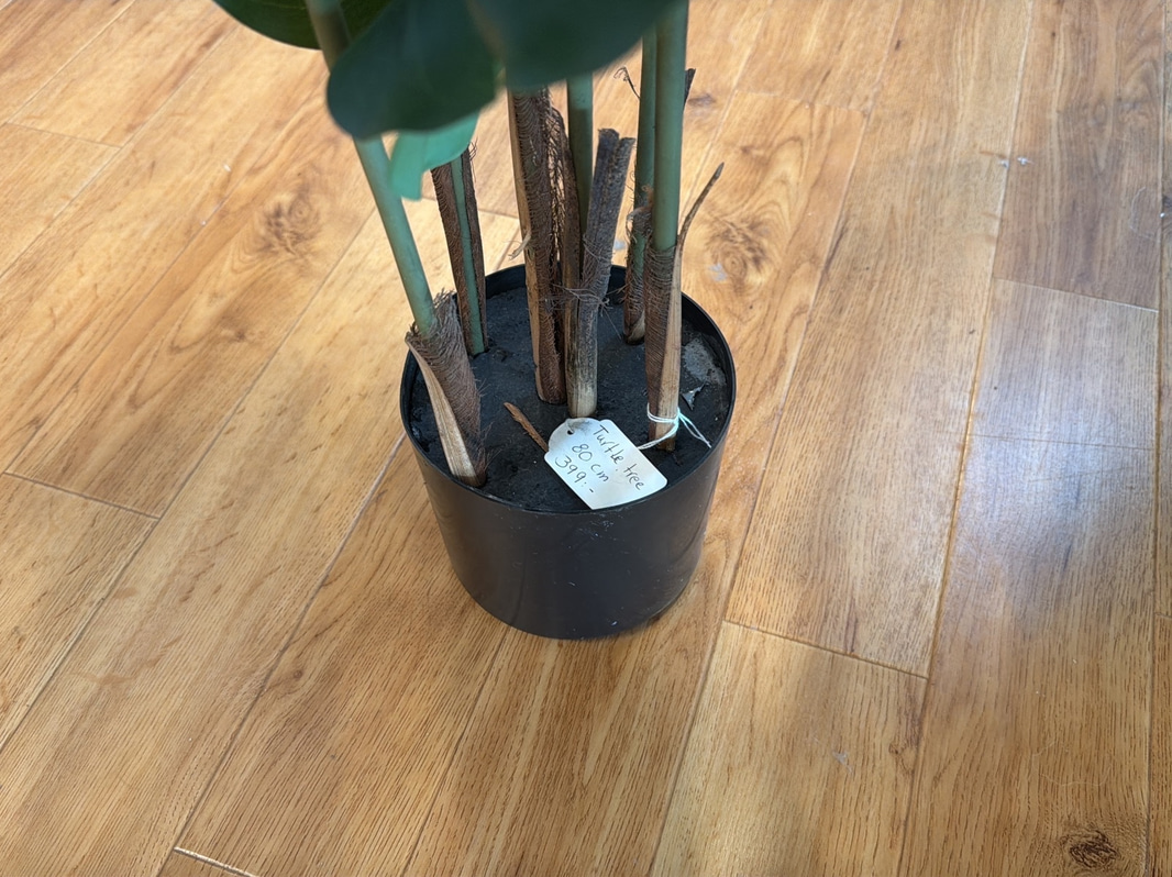 Bild 10