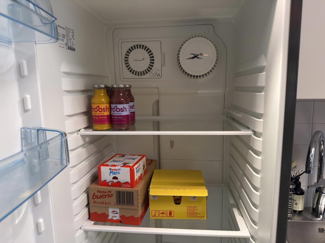 Kylskåp Electrolux ERE38403X