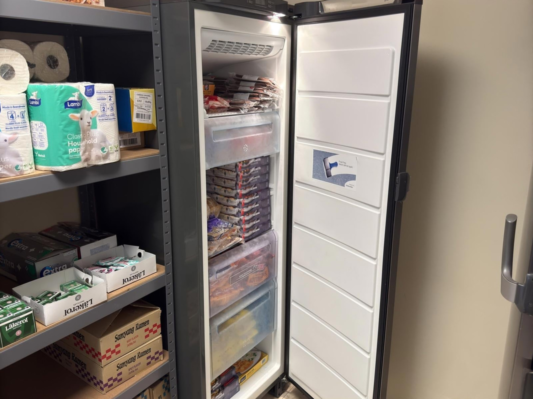 Frysskåp Electrolux EUF29403X