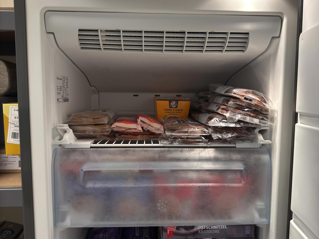 Frysskåp Electrolux EUF29403X